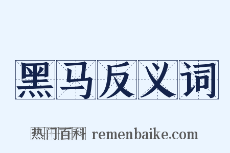 黑马反义词是什么意思的图片